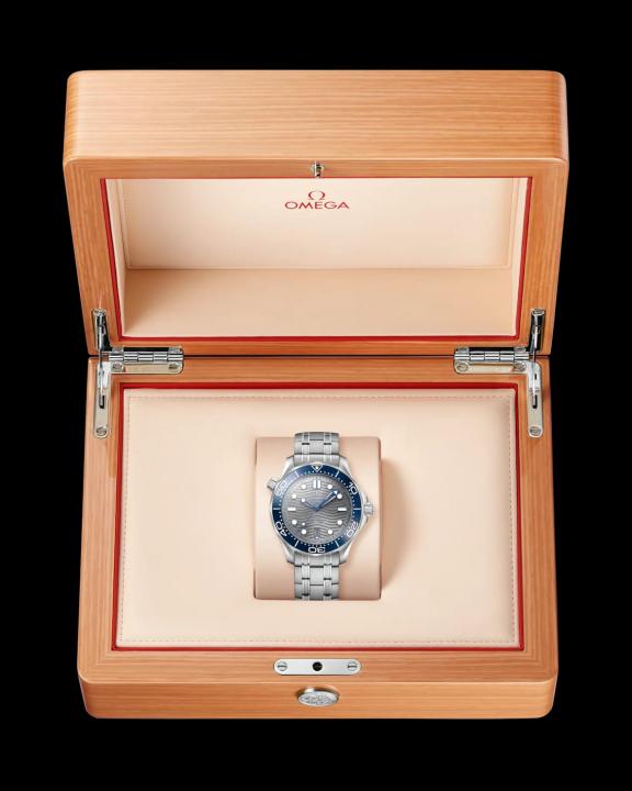 Omegg_a Seamaster Diver 300M Automatic Silver-Grey